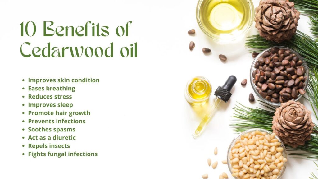 10 Benefits of Cedarwood oil