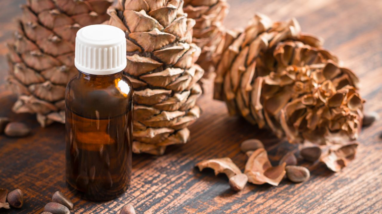 About Pine Essential Oil