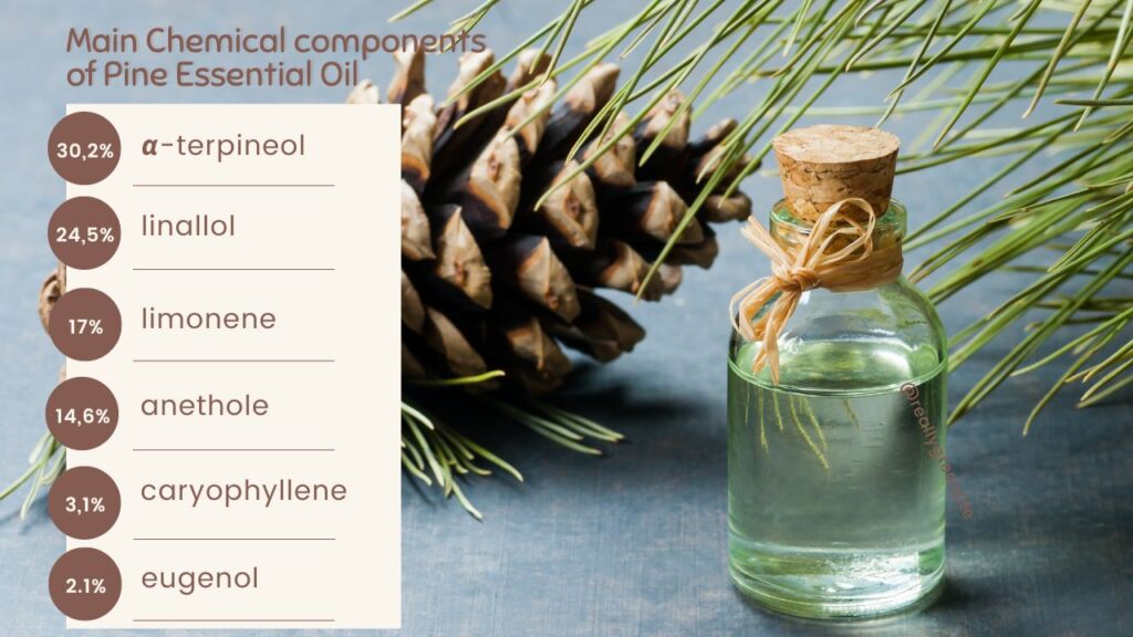 Main Chemical components of Pine Essential Oil